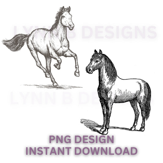 Horse sketch png