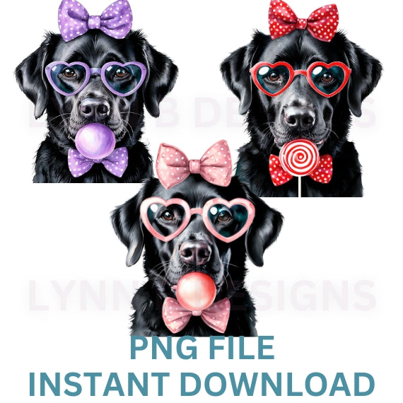 Black lab png designs, labrador retriever png